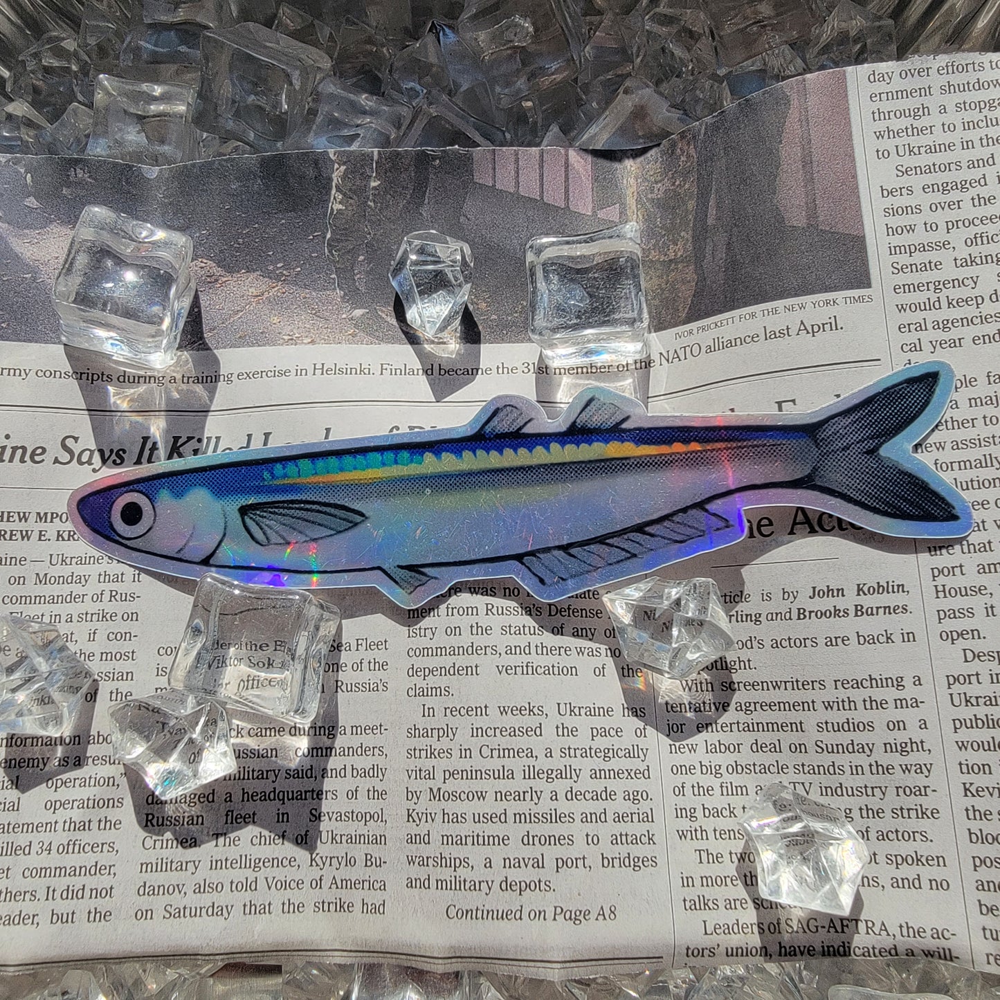 Fresh Locally Caught Grunion (sticker)